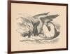 'The Gryphon asleep in the sun', 1889-John Tenniel-Framed Giclee Print