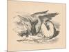 'The Gryphon asleep in the sun', 1889-John Tenniel-Mounted Giclee Print