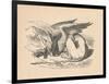 'The Gryphon asleep in the sun', 1889-John Tenniel-Framed Giclee Print