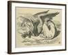 The Gryphon, Lewis Carroll-John Tenniel-Framed Giclee Print