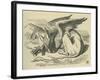 The Gryphon, Lewis Carroll-John Tenniel-Framed Giclee Print