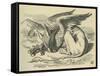 The Gryphon, Lewis Carroll-John Tenniel-Framed Stretched Canvas