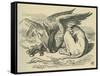 The Gryphon, Lewis Carroll-John Tenniel-Framed Stretched Canvas