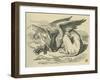 The Gryphon, Lewis Carroll-John Tenniel-Framed Giclee Print