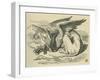 The Gryphon, Lewis Carroll-John Tenniel-Framed Giclee Print