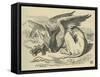 The Gryphon, Lewis Carroll-John Tenniel-Framed Stretched Canvas