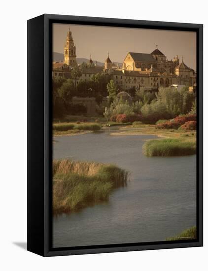 The Guadalquivir River and Alcazar, Cordoba, Andalucia (Andalusia), Spain-Steve Bavister-Framed Stretched Canvas