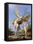 The Guardian Angel, 1716-Marco Antonio Franceschini-Framed Stretched Canvas