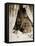 The Guardian Angel, 1901-null-Framed Stretched Canvas