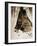 The Guardian Angel, 1901-null-Framed Giclee Print