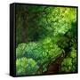 The Guardians of the Forest-Cherie Roe Dirksen-Framed Stretched Canvas