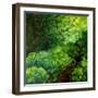 The Guardians of the Forest-Cherie Roe Dirksen-Framed Giclee Print