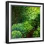 The Guardians of the Forest-Cherie Roe Dirksen-Framed Giclee Print