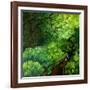 The Guardians of the Forest-Cherie Roe Dirksen-Framed Giclee Print