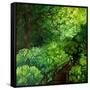 The Guardians of the Forest-Cherie Roe Dirksen-Framed Stretched Canvas