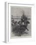 The Guards' Inter-Regimental Point-To-Point Race-William Small-Framed Giclee Print