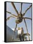 The Guggenheim, Designed by Architect Frank Gehry, and Giant Spider Sculpture by Louise Bourgeois-Christian Kober-Framed Stretched Canvas