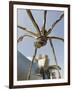 The Guggenheim, Designed by Architect Frank Gehry, and Giant Spider Sculpture by Louise Bourgeois-Christian Kober-Framed Premium Photographic Print