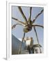 The Guggenheim, Designed by Architect Frank Gehry, and Giant Spider Sculpture by Louise Bourgeois-Christian Kober-Framed Premium Photographic Print