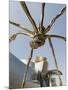 The Guggenheim, Designed by Architect Frank Gehry, and Giant Spider Sculpture by Louise Bourgeois-Christian Kober-Mounted Premium Photographic Print