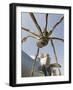 The Guggenheim, Designed by Architect Frank Gehry, and Giant Spider Sculpture by Louise Bourgeois-Christian Kober-Framed Photographic Print