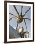 The Guggenheim, Designed by Architect Frank Gehry, and Giant Spider Sculpture by Louise Bourgeois-Christian Kober-Framed Photographic Print