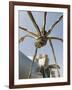 The Guggenheim, Designed by Architect Frank Gehry, and Giant Spider Sculpture by Louise Bourgeois-Christian Kober-Framed Photographic Print