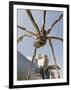 The Guggenheim, Designed by Architect Frank Gehry, and Giant Spider Sculpture by Louise Bourgeois-Christian Kober-Framed Photographic Print