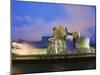 The Guggenheim, Designed by Canadian-American Architect Frank Gehry, on the Nervion River-Christian Kober-Mounted Photographic Print
