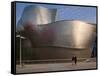 The Guggenheim Museum, Bilbao, Spain-Walter Bibikow-Framed Stretched Canvas