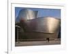 The Guggenheim Museum, Bilbao, Spain-Walter Bibikow-Framed Photographic Print