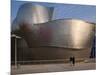 The Guggenheim Museum, Bilbao, Spain-Walter Bibikow-Mounted Photographic Print