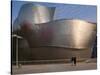 The Guggenheim Museum, Bilbao, Spain-Walter Bibikow-Stretched Canvas