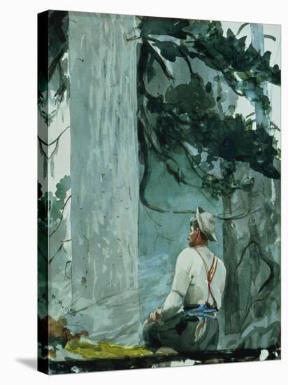 The Guide, 1895-Winslow Homer-Stretched Canvas