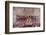 The Guildhall, London, 1911-null-Framed Photographic Print