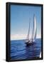 Essential Black