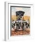 'The 'Gyrotiller', 1938-Unknown-Framed Giclee Print