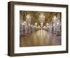 The Hall of Mirrors (State after Restoration in 2007)-null-Framed Giclee Print