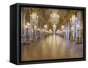 The Hall of Mirrors (State after Restoration in 2007)-null-Framed Stretched Canvas