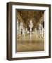 The Hall of Mirrors (State after Restoration in 2007)-null-Framed Giclee Print