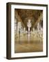 The Hall of Mirrors (State after Restoration in 2007)-null-Framed Giclee Print