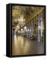 The Hall of Mirrors (State after Restoration in 2007)-null-Framed Stretched Canvas