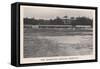 The Hamilton Cricket Ground, Bermuda, 1912-HP Baily-Framed Stretched Canvas
