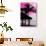 The Hammock and Palm Tree at Sunset - Beach Hut - Florida-Philippe Hugonnard-Photographic Print displayed on a wall