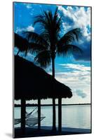 The Hammock and Palm Tree at Sunset - Beach Hut - Florida-Philippe Hugonnard-Mounted Photographic Print