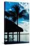 The Hammock and Palm Tree at Sunset - Beach Hut - Florida-Philippe Hugonnard-Stretched Canvas