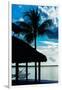 The Hammock and Palm Tree at Sunset - Beach Hut - Florida-Philippe Hugonnard-Framed Photographic Print