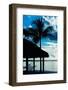 The Hammock and Palm Tree at Sunset - Beach Hut - Florida-Philippe Hugonnard-Framed Photographic Print