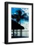 The Hammock and Palm Tree at Sunset - Beach Hut - Florida-Philippe Hugonnard-Framed Photographic Print