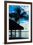 The Hammock and Palm Tree at Sunset - Beach Hut - Florida-Philippe Hugonnard-Framed Photographic Print
